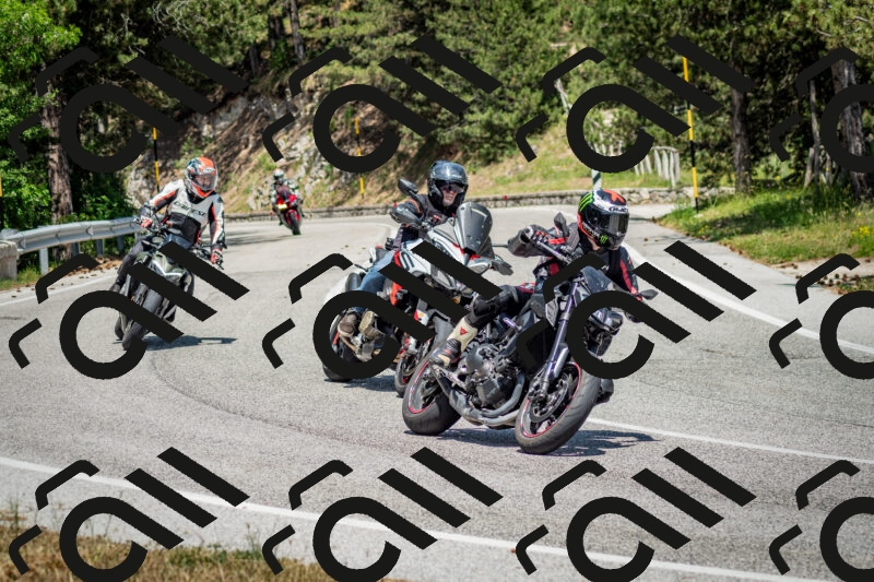 202506141415-DSC_8662_c2