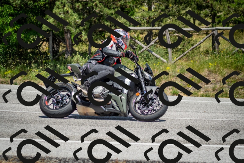 202506141415-DSC_8665_c2