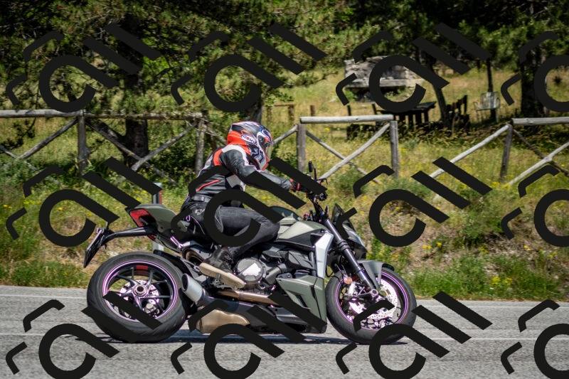 202506141415-DSC_8666_c2