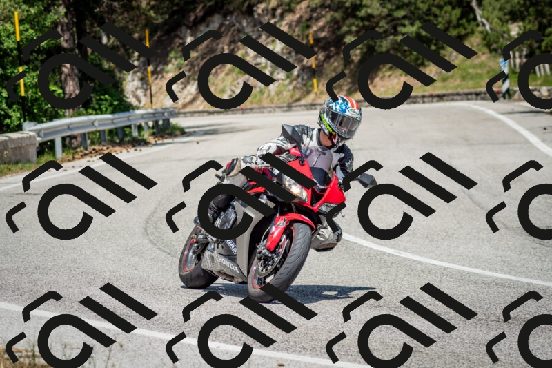 202506141415-DSC_8667_c2