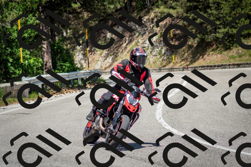 202506141415-DSC_8671_c2