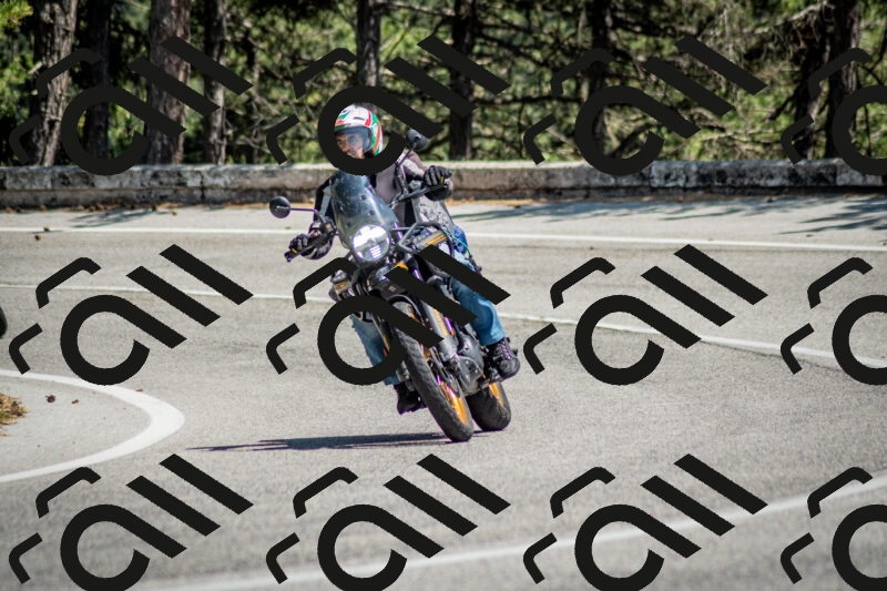 202506141417-DSC_8678_c2