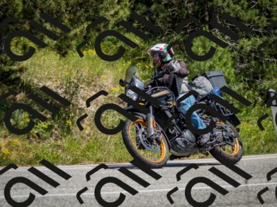 202506141417-DSC_8679_c2