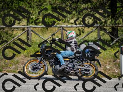 202506141417-DSC_8680_c2