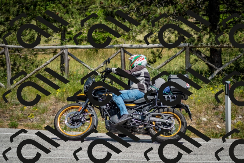 202506141417-DSC_8680_c2