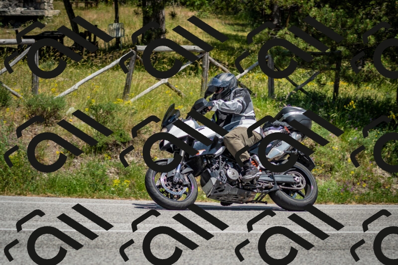 202506141417-DSC_8681_c2