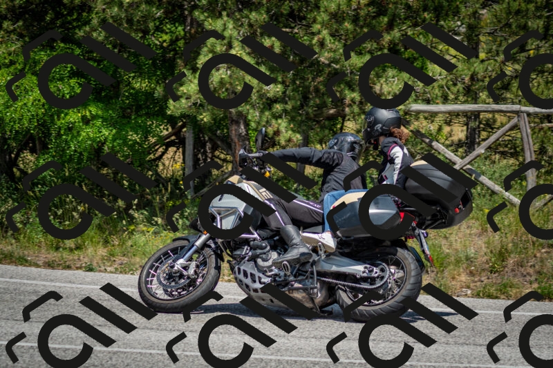 202506141417-DSC_8689_c2