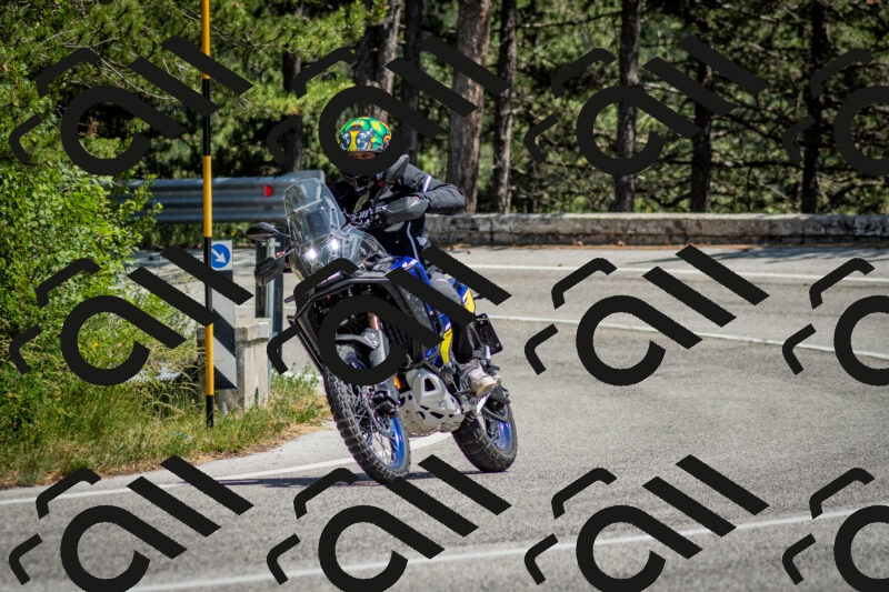 202506141419-DSC_8690_c2