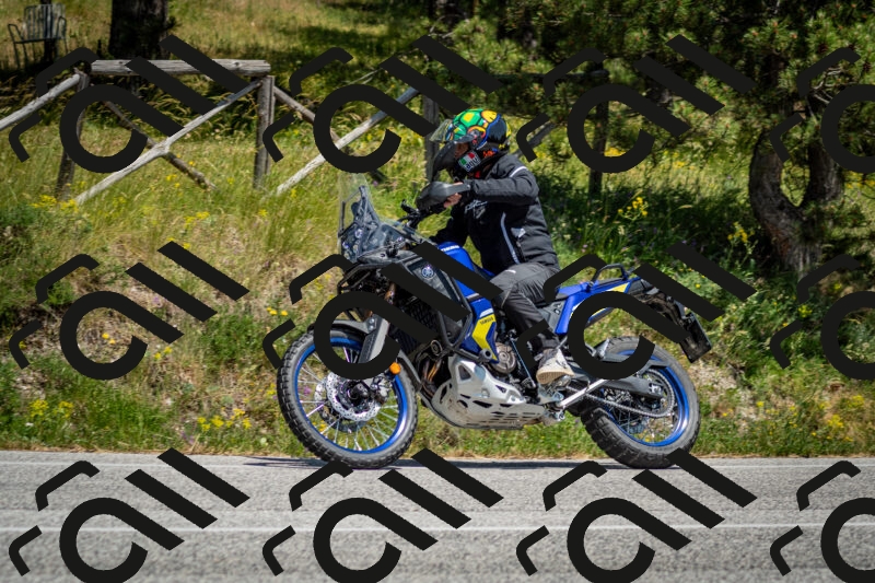 202506141419-DSC_8691_c2