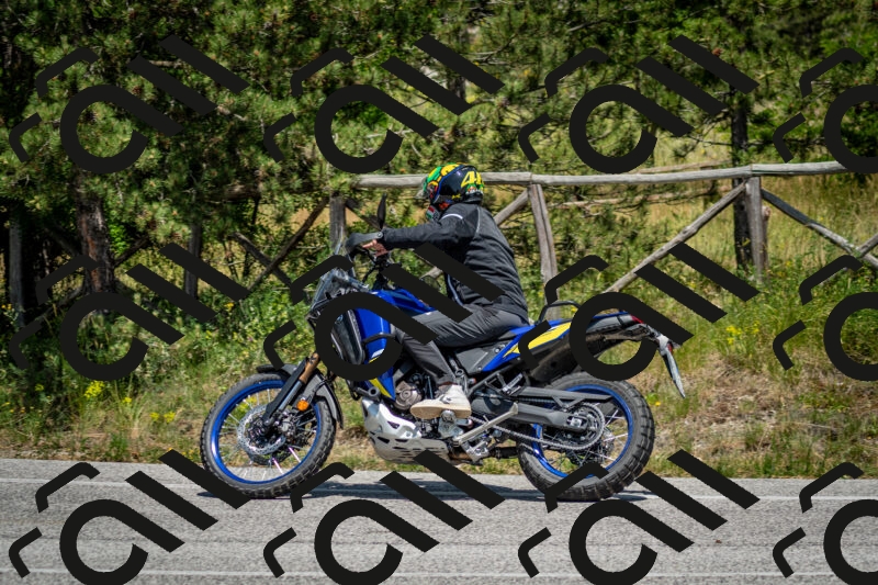 202506141419-DSC_8692_c2