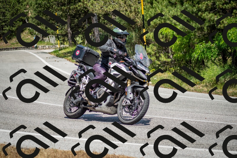 202506141422-DSC_8697_c2