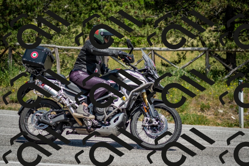 202506141422-DSC_8698_c2