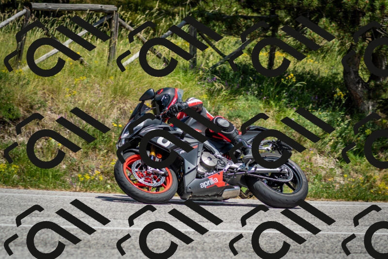 202506141423-DSC_8701_c2