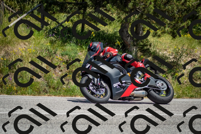 202506141423-DSC_8703_c2