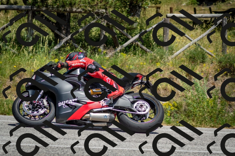 202506141423-DSC_8704_c2