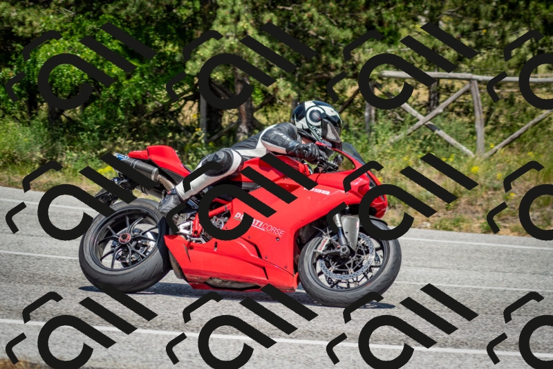 202506141427-DSC_8713_c2