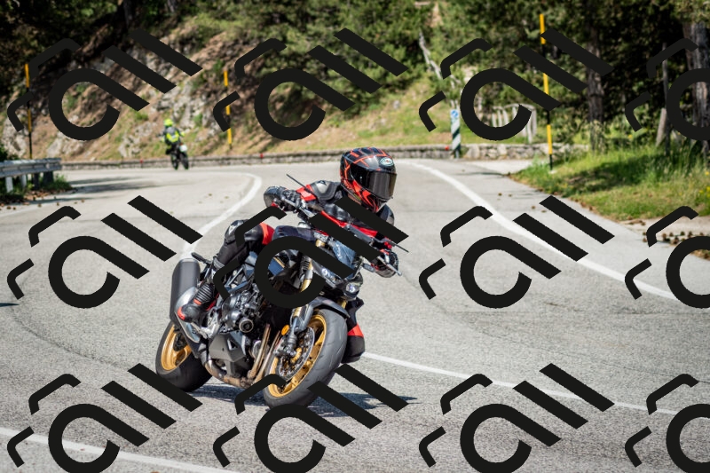 202506141427-DSC_8714_c2