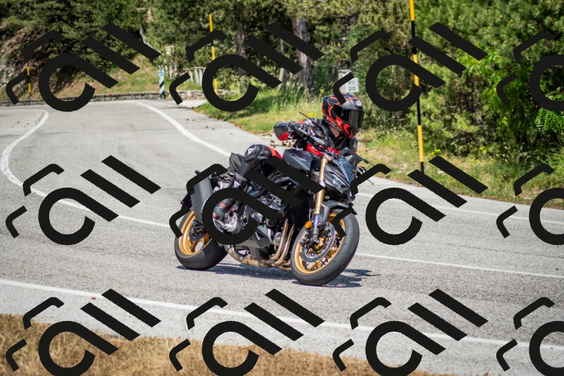 202506141427-DSC_8715_c2