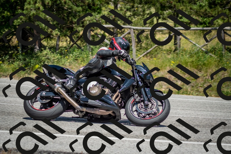 202506141427-DSC_8717_c2