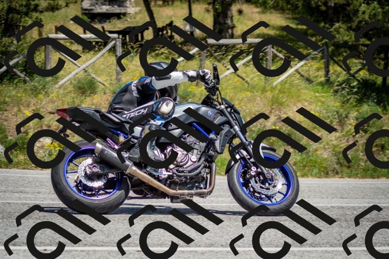 202506141428-DSC_8723_c2