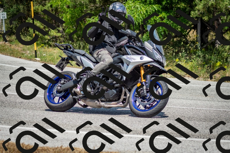 202506141428-DSC_8726_c2