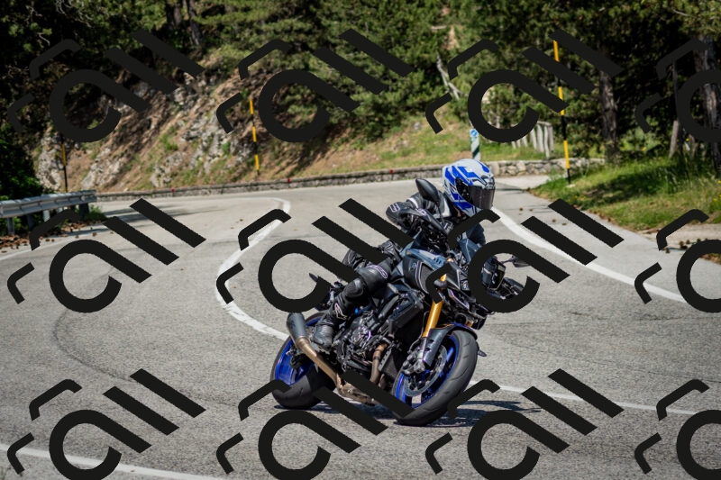 202506141428-DSC_8727_c2