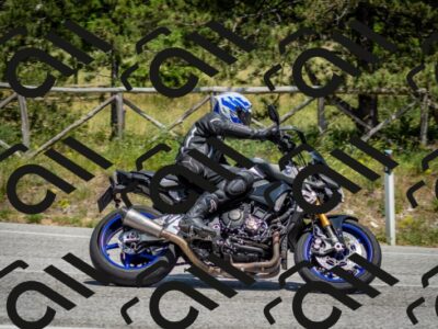 202506141428-DSC_8728_c2