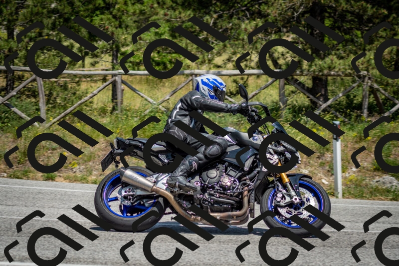 202506141428-DSC_8728_c2