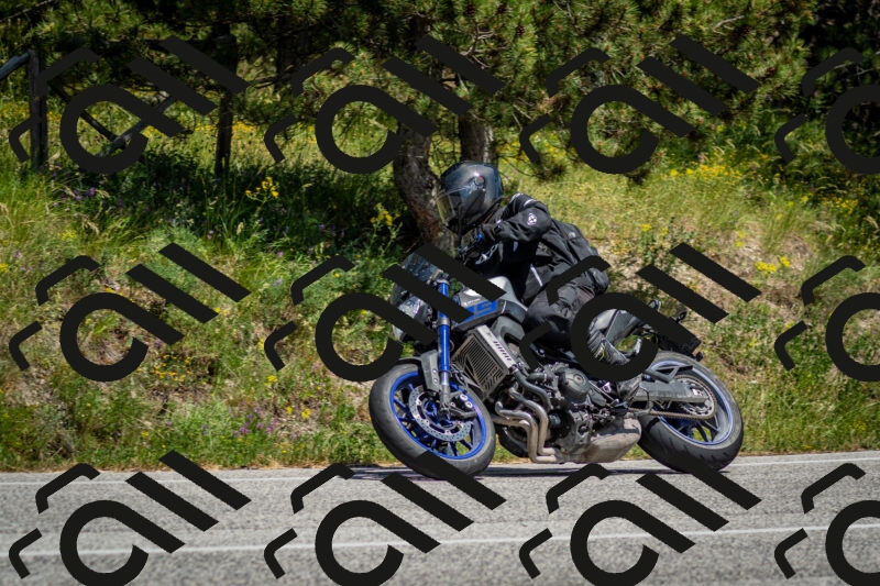 202506141428-DSC_8732_c2