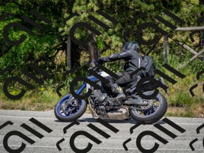 202506141428-DSC_8733_c2