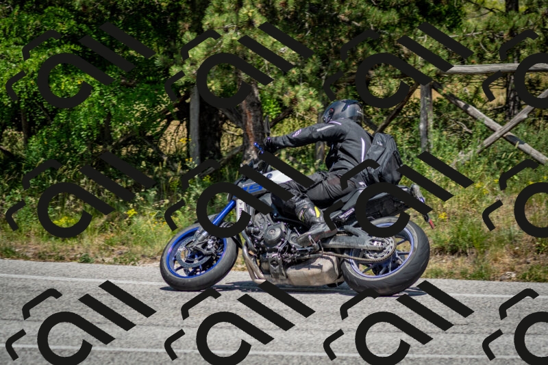 202506141428-DSC_8733_c2