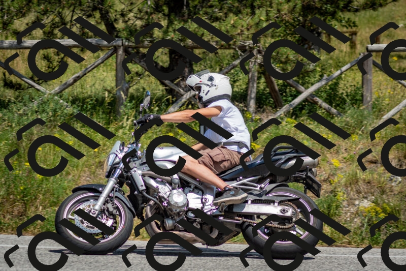 202506141429-DSC_8736_c2