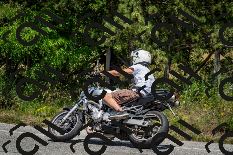 202506141429-DSC_8737_c2