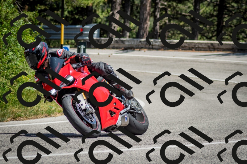 202506141430-DSC_8739_c2