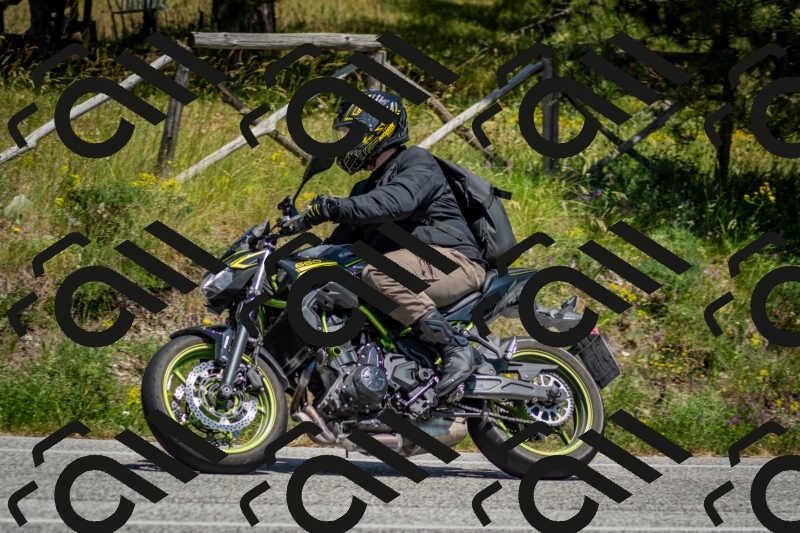 202506141430-DSC_8747_c2