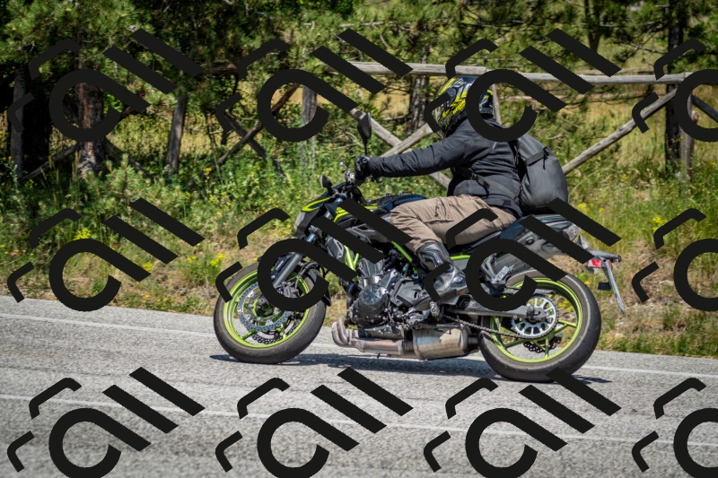 202506141430-DSC_8748_c2