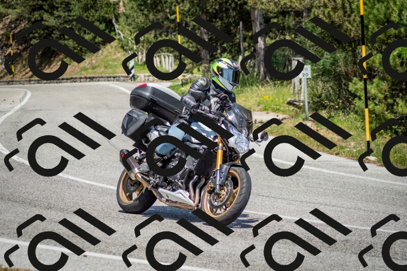 202506141431-DSC_8751_c2