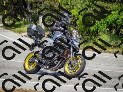 202506141431-DSC_8753_c2