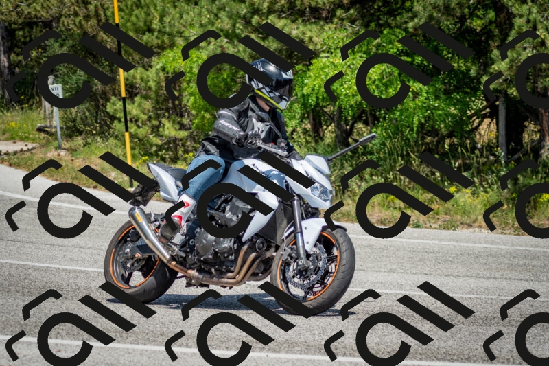 202506141431-DSC_8755_c2