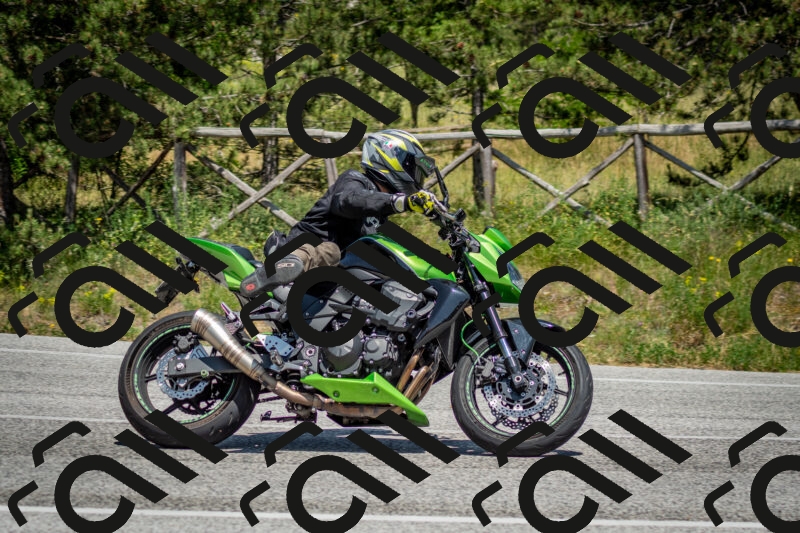 202506141431-DSC_8757_c2