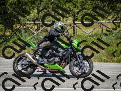 202506141431-DSC_8757_c2