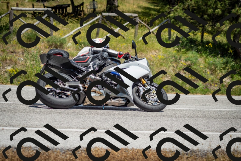 202506141432-DSC_8761_c2