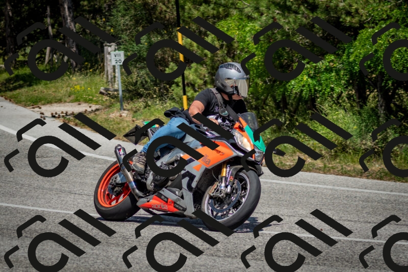 202506141436-DSC_8781_c2