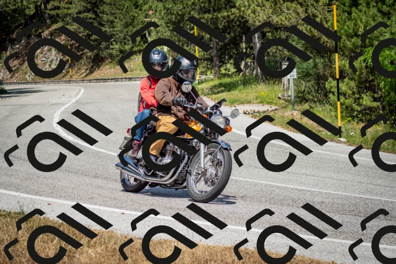 202506141437-DSC_8783_c2