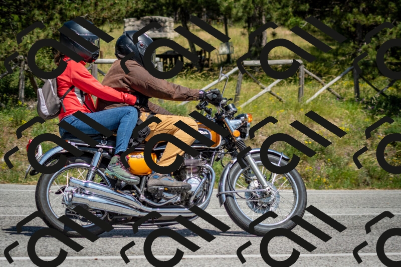 202506141437-DSC_8784_c2