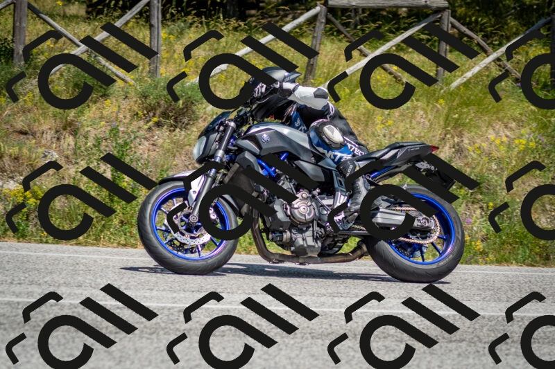 202506141439-DSC_8786_c2