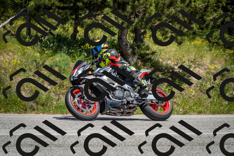 202506141439-DSC_8787_c2