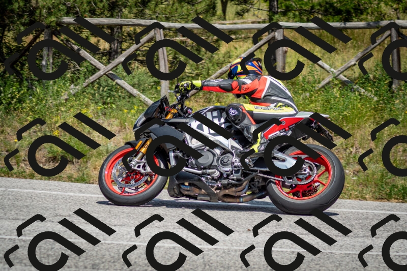 202506141439-DSC_8788_c2