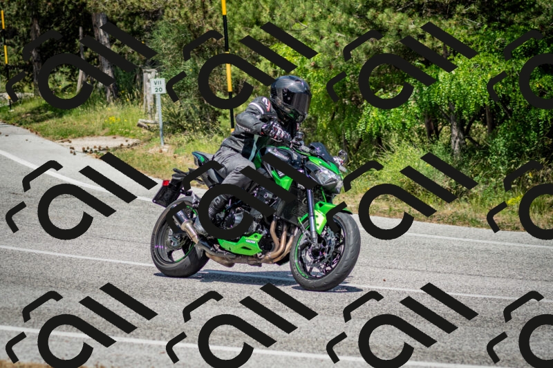 202506141440-DSC_8791_c2