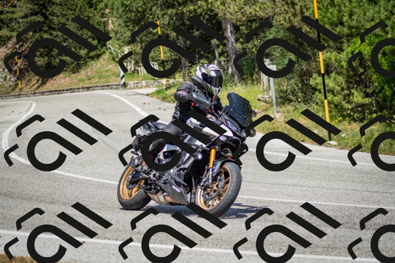 202506141440-DSC_8792_c2